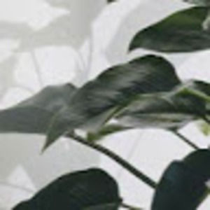 Meet your Posher, Christan